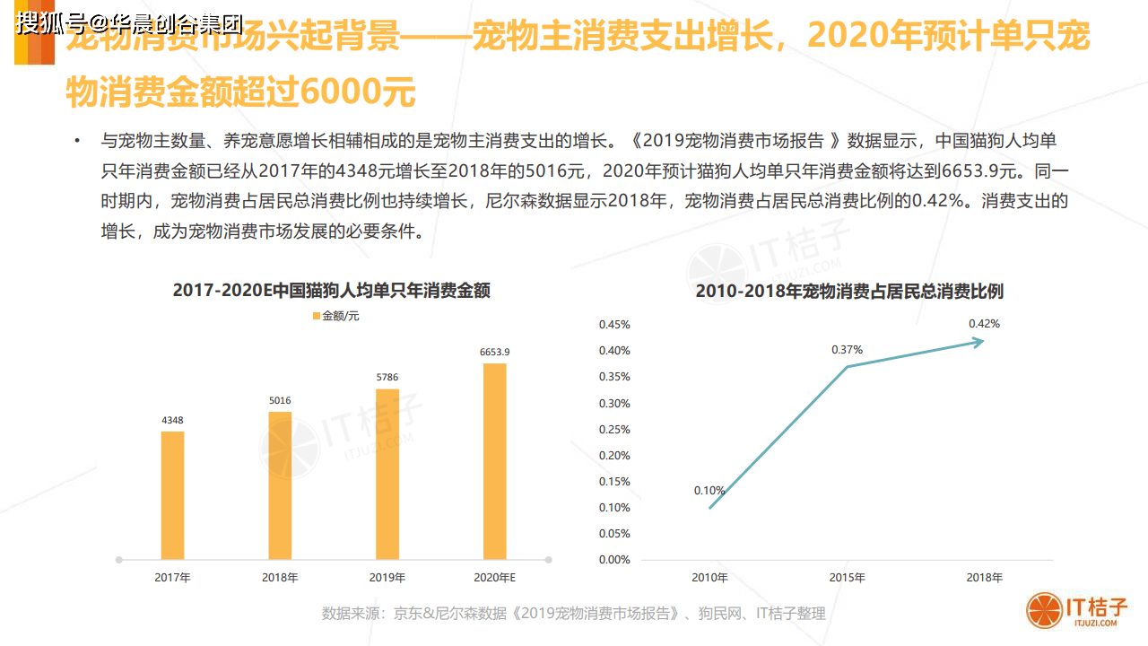 ai宠物市场分析报告