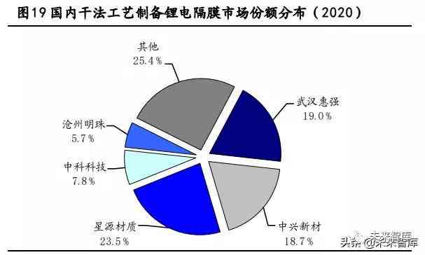 肺部AI分析结构化报告